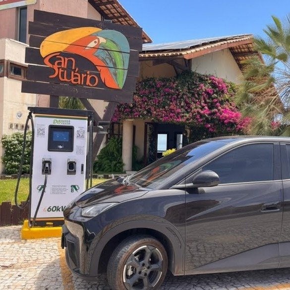 6d67e2f4-d8a1-4c82-acce-4d2fb571c22f